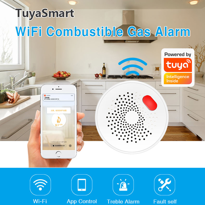 EU/US/UK Tuya Smart Home 2.4G  - огляд і ціна Smart Home Wiz