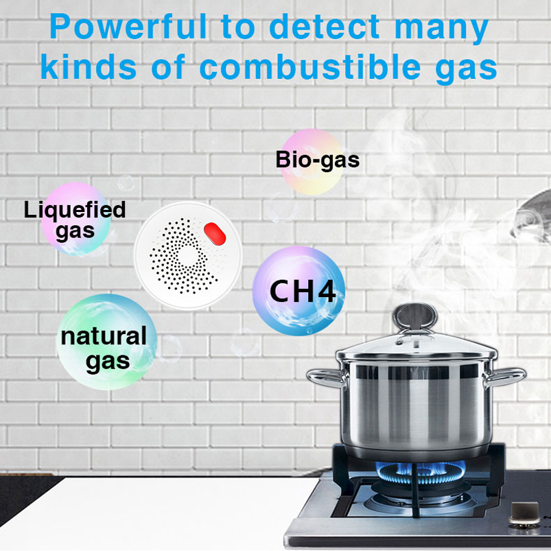 EU/US/UK Tuya Smart Home 2.4G  - огляд і ціна Smart Home Wiz
