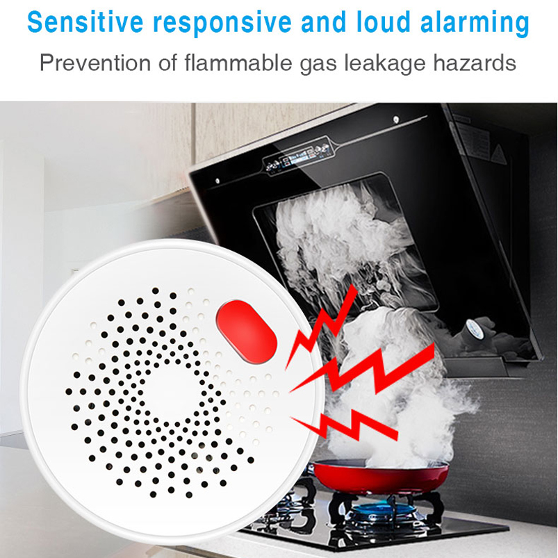 EU/US/UK Tuya Smart Home 2.4G  - огляд і ціна Smart Home Wiz